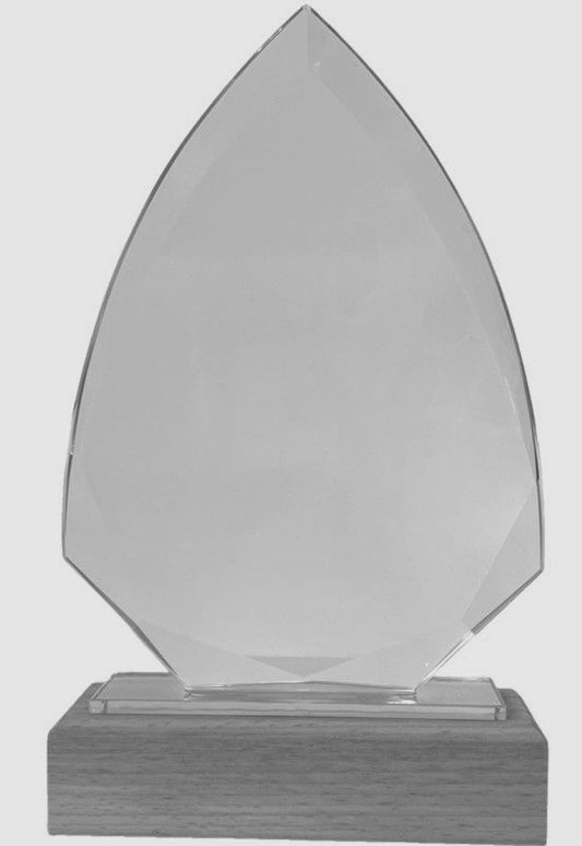 Glass Arrow award with a wooden base 180mm high supplied in a presentation box